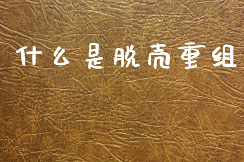 什么是脱壳重组_https://www.apanben.com_国际财经_第1张