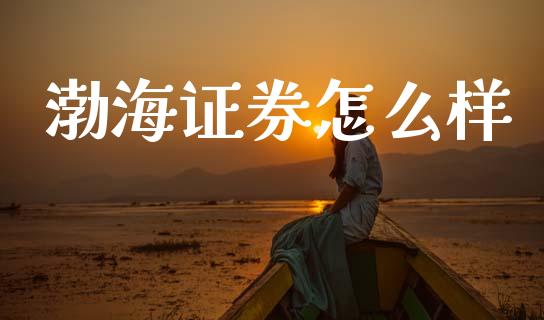 渤海证券怎么样_https://www.apanben.com_在线喊单_第1张