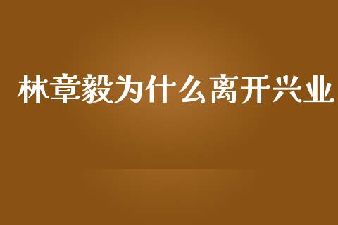 林章毅为什么离开兴业_https://www.apanben.com_期货学院_第1张