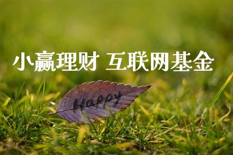 小赢理财 互联网基金_https://www.apanben.com_国际财经_第1张