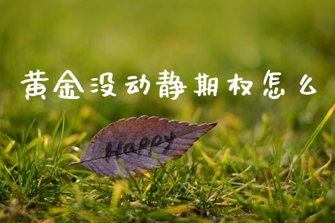黄金没动静期权怎么_https://www.apanben.com_在线喊单_第1张