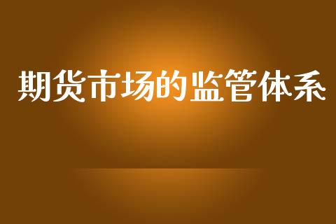 期货市场的监管体系_https://www.apanben.com_期货学院_第1张