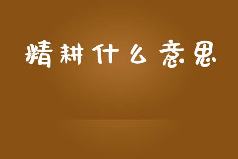 精耕什么意思_https://www.apanben.com_股市指导_第1张