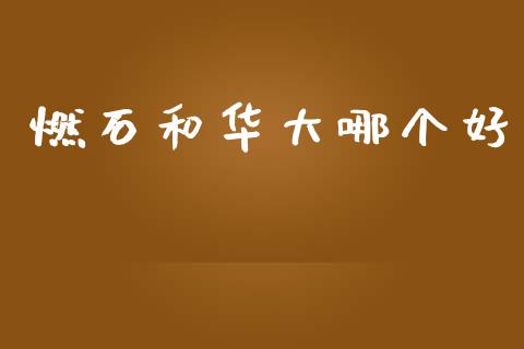 燃石和华大哪个好_https://www.apanben.com_财经资讯_第1张
