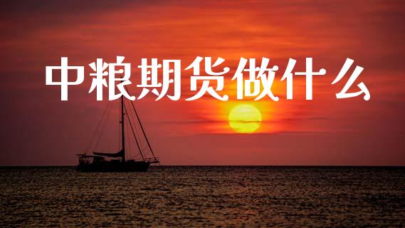 中粮期货做什么_股市分析_第1张_安贝财经网 中粮期货做什么_https://www.apanben.com_股市分析_第1张