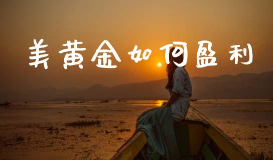 美黄金如何盈利_https://www.apanben.com_股市指导_第1张