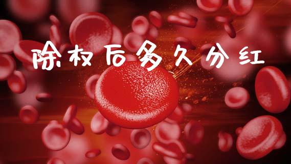 除权后多久分红_https://www.apanben.com_国际财经_第1张