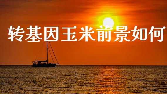 转基因玉米前景如何_https://www.apanben.com_股市分析_第1张