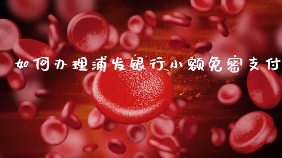 如何办理浦发银行小额免密支付_https://www.apanben.com_期货学院_第1张
