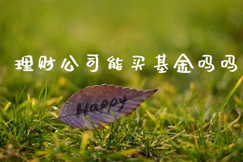 理财公司能买基金吗吗_https://www.apanben.com_财经资讯_第1张
