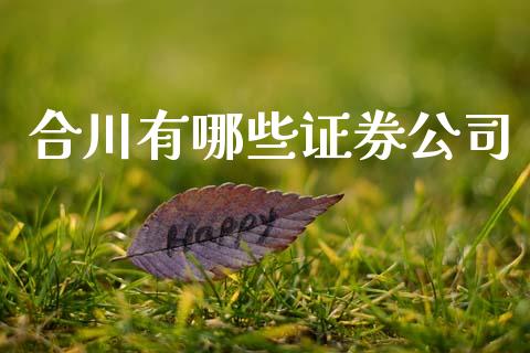 合川有哪些证券公司_https://www.apanben.com_股市指导_第1张