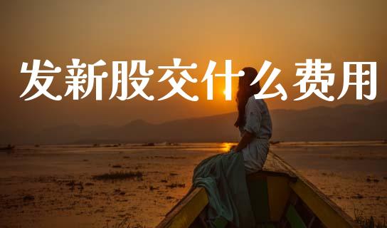 发新股交什么费用_https://www.apanben.com_财经资讯_第1张
