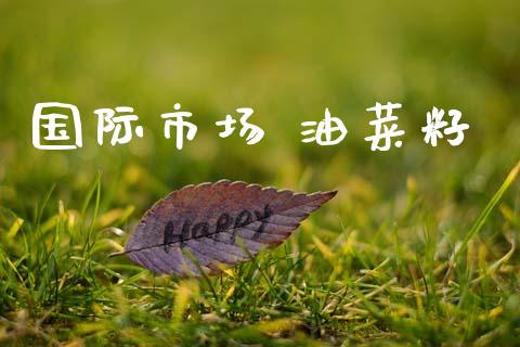 国际市场 油菜籽_https://www.apanben.com_股票怎么玩_第1张