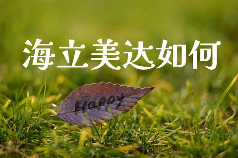 海立美达如何_https://www.apanben.com_国际财经_第1张