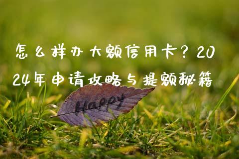 怎么样办大额信用卡？2024年申请攻略与提额秘籍_https://www.apanben.com_国际财经_第1张