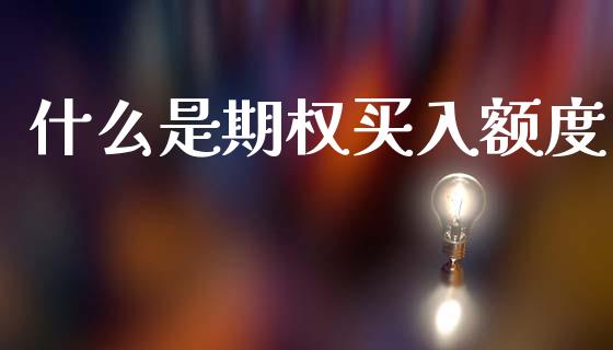 什么是期权买入额度_https://www.apanben.com_股票怎么玩_第1张