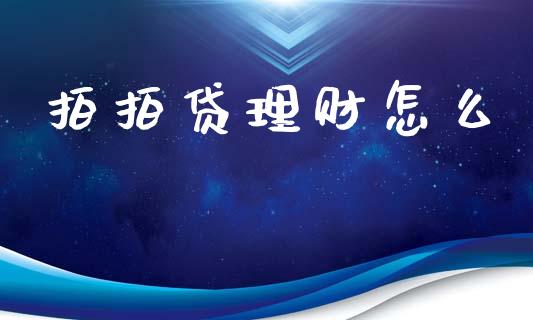 拍拍贷理财怎么_https://www.apanben.com_国际财经_第1张