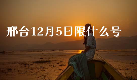 邢台12月5日限什么号_https://www.apanben.com_股市分析_第1张