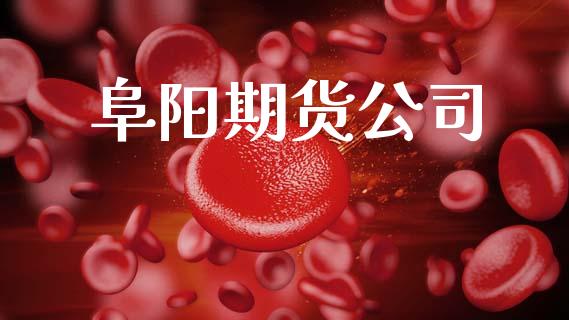 阜阳期货公司_https://www.apanben.com_国际期货_第1张