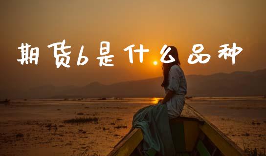 期货b是什么品种_https://www.apanben.com_股市指导_第1张