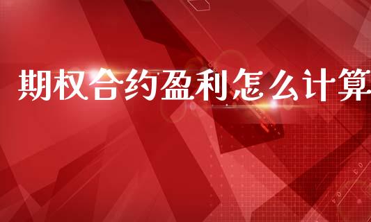期权合约盈利怎么计算_https://www.apanben.com_期货学院_第1张