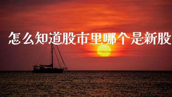 怎么知道股市里哪个是新股_https://www.apanben.com_财经资讯_第1张