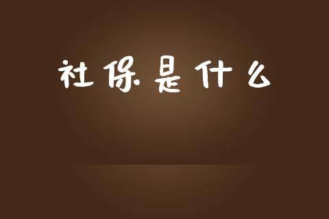 社保是什么_https://www.apanben.com_国际期货_第1张