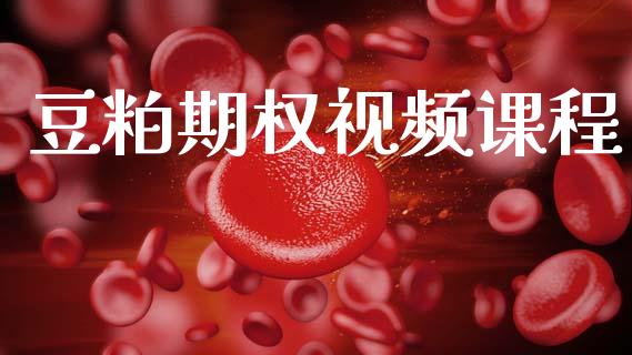 豆粕期权视频课程_https://www.apanben.com_国际期货_第1张