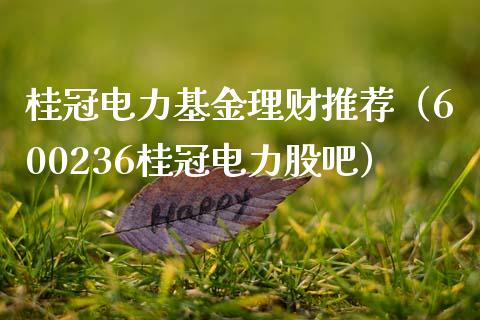 桂冠电力基金理财推荐（600236桂冠电力股吧）_https://www.apanben.com_国际财经_第1张