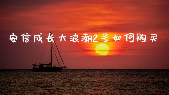 安信成长大浪潮2号如何购买_https://www.apanben.com_国际财经_第1张