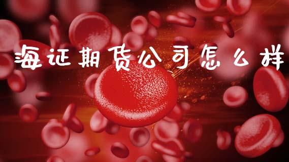 海证期货公司怎么样_https://www.apanben.com_股市指导_第1张