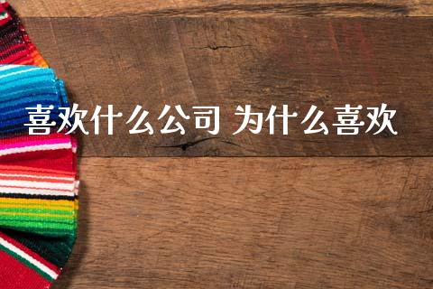 喜欢什么公司 为什么喜欢_https://www.apanben.com_国际财经_第1张