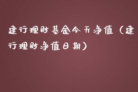 建行理财基金今天净值（建行理财净值日期）_https://www.apanben.com_国际财经_第1张