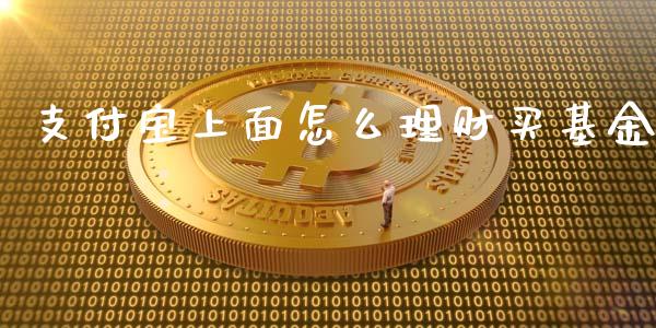 支付宝上面怎么理财买基金_https://www.apanben.com_国际财经_第1张