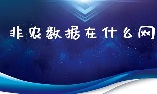 非农数据在什么网_https://www.apanben.com_财经资讯_第1张