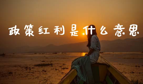 政策红利是什么意思_https://www.apanben.com_国际财经_第1张
