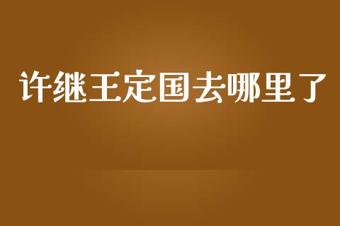 许继王定国去哪里了_https://www.apanben.com_国际期货_第1张