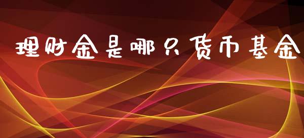理财金是哪只货币基金_https://www.apanben.com_财经资讯_第1张