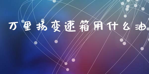 万里扬变速箱用什么油_https://www.apanben.com_在线喊单_第1张
