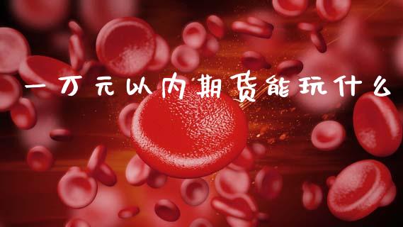 一万元以内期货能玩什么_https://www.apanben.com_国际财经_第1张