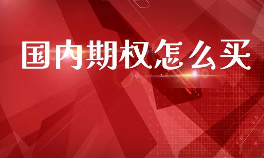 国内期权怎么买_https://www.apanben.com_期货学院_第1张