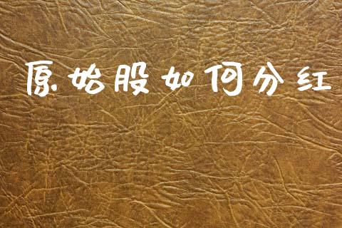 原始股如何分红_https://www.apanben.com_股市指导_第1张