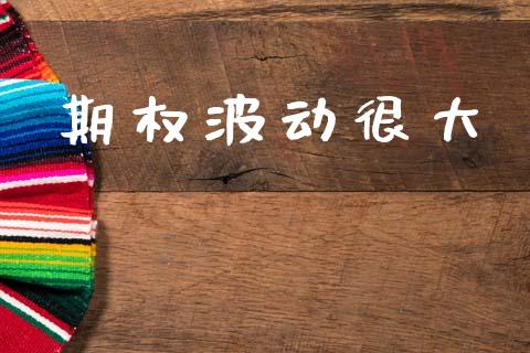 期权波动很大_https://www.apanben.com_股市分析_第1张