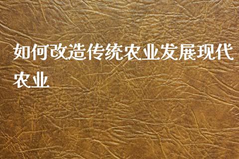 如何改造传统农业发展现代农业_https://www.apanben.com_期货学院_第1张