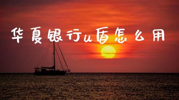 华夏银行u盾怎么用_https://www.apanben.com_股市指导_第1张