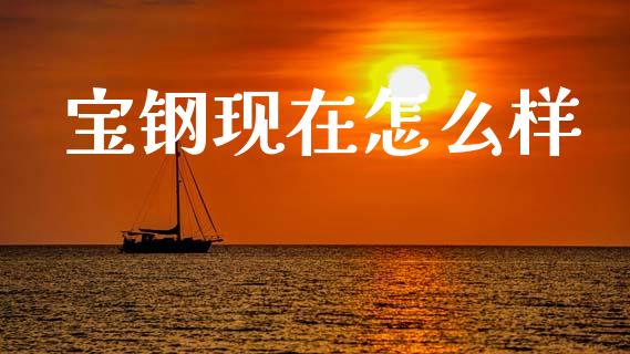 宝钢现在怎么样_https://www.apanben.com_国际期货_第1张