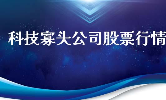 科技寡头公司股票行情_https://www.apanben.com_股票怎么玩_第1张