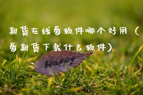 期货在线看软件哪个好用（看期货下载什么软件）_https://www.apanben.com_在线喊单_第1张