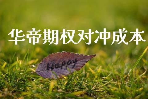 华帝期权对冲成本_https://www.apanben.com_股票怎么玩_第1张