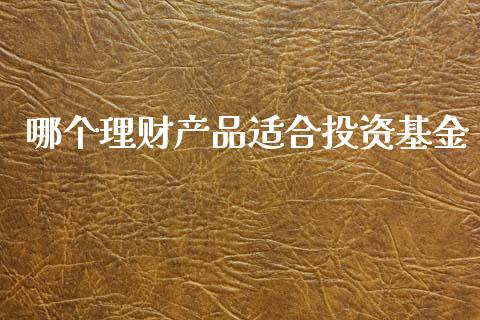 哪个理财产品适合投资基金_https://www.apanben.com_国际财经_第1张
